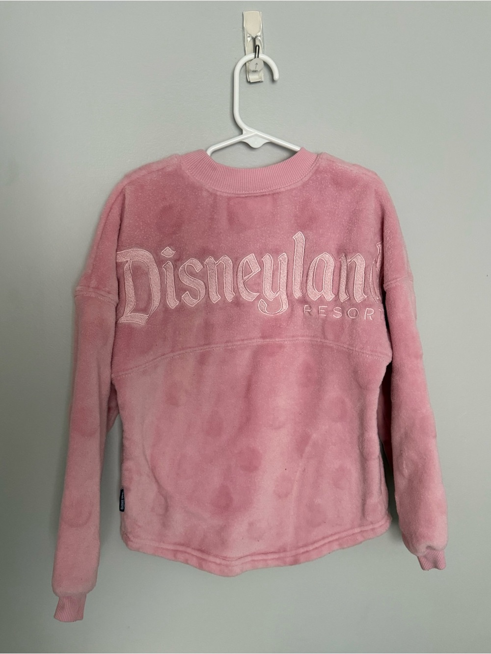 Disneyland Spirit Jersey